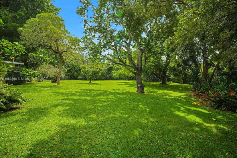 Picture of 11600 SW 69Th Ave, Pinecrest FL 33156