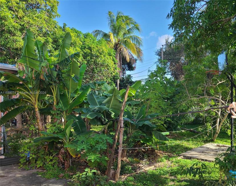 Picture of 1420 NE 137Th St, North Miami FL 33161