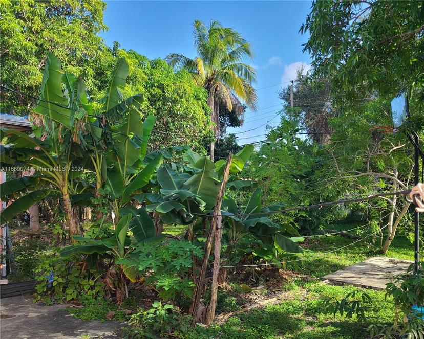 Picture of 1420 NE 137Th St, North Miami FL 33161