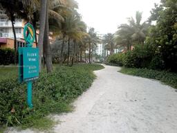 Picture of 19370 Collins Ave # 1120, Sunny Isles Beach, FL 33160