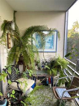 Picture of 1445 Atlantic Shores Blvd # 306, Hallandale Beach, FL 33009