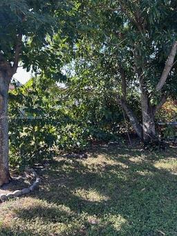 Picture of 4740 NW 41St Ct, Lauderdale Lakes, FL 33319