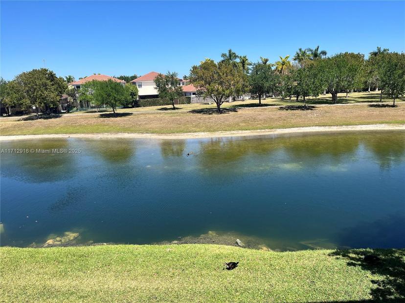Picture of 10003 NW 9Th St Cir # 17, Miami FL 33172