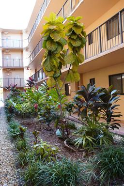 Picture of 8420 SW 133Rd Ave Rd # 419, Miami, FL 33183