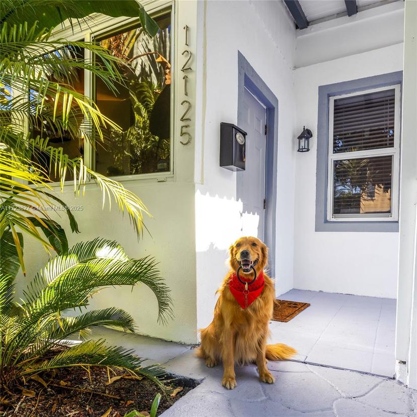 Picture of 12125 NE 5Th Ave, North Miami FL 33161