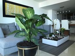 Picture of 1800 N Bayshore # 2011, Miami, FL 33132