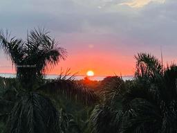 Picture of 1121 Crandon Blvd # D404, Key Biscayne, FL 33149