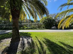 Picture of 194 NW 91St St, El Portal, FL 33150