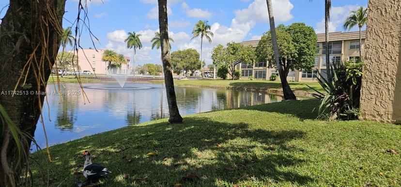 Picture of 9380 Sunrise Lakes Blvd # 103, Sunrise FL 33322