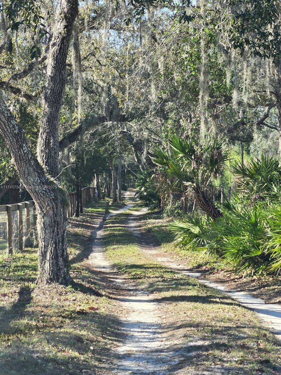 Picture of 1370 NW 120Th Ave, Ocala, FL 34482