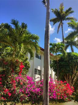 Picture of 1821 Jefferson Ave # 205, Miami Beach, FL 33139