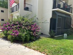 Picture of 301 N Pine Island Rd # 117, Plantation, FL 33324