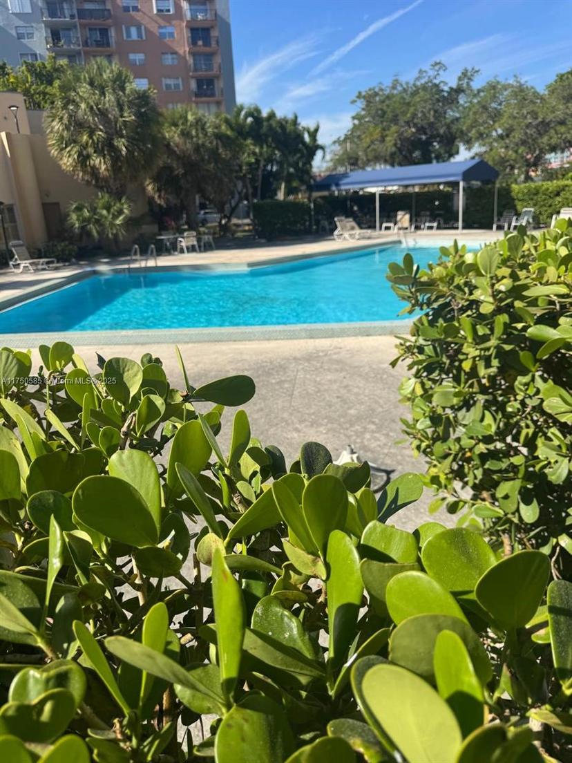 Picture of 1470 NE 125Th Ter # 803, North Miami FL 33161