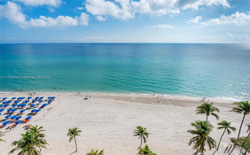 Picture of 2301 S Ocean Dr # 1102, Hollywood FL 33019