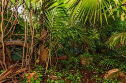 Picture of 2518 NE 206Th Ter, Miami, FL 33180