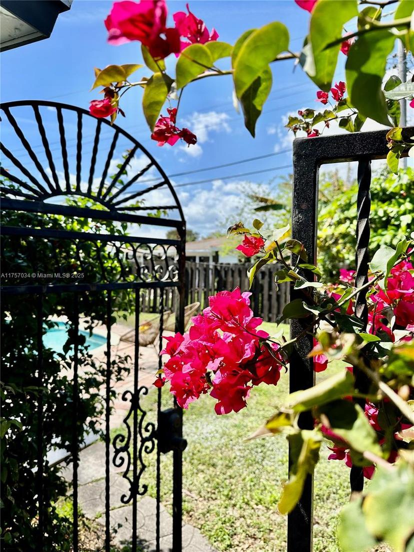 Picture of 4861 NE 8Th Ave, Oakland Park FL 33334