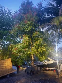 Picture of 1251 NW 29Th Ter, Miami, FL 33142