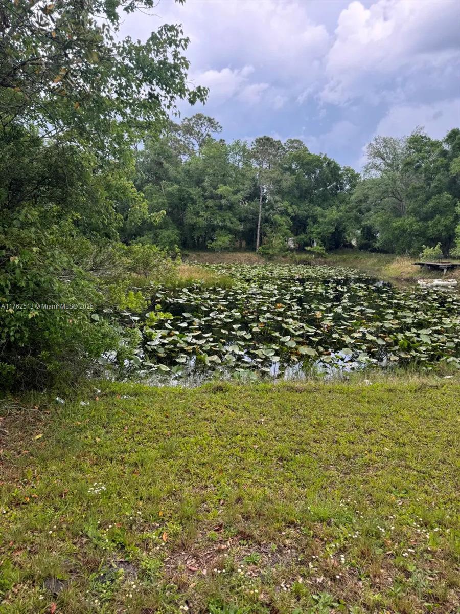 Picture of 13012 NE 14Th Ave, Okeechobee, FL 34972