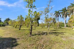 Picture of 16950 SW 188Th St, Miami, FL 33187