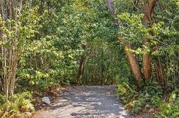 Picture of 6461 SW 134Th Dr, Pinecrest, FL 33156