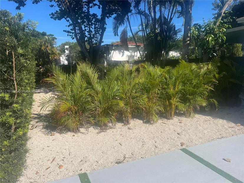 Picture of 1000 NE 134Th St, North Miami FL 33161