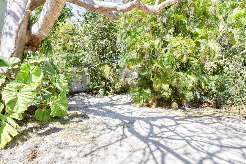 Picture of 4031 Ventura Ave, Miami FL 33133