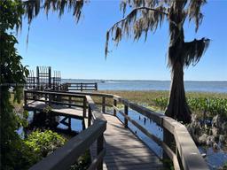 Picture of 1981 Longhorn Street, Other City - In The State Of Florida, FL 32726