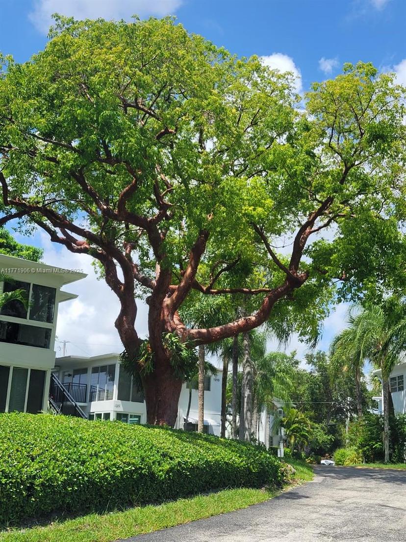 Picture of 1001 SE 14Th Pl # 2A, Fort Lauderdale FL 33316