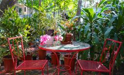 Picture of 4160 Lybyer Ave, Miami, FL 33133