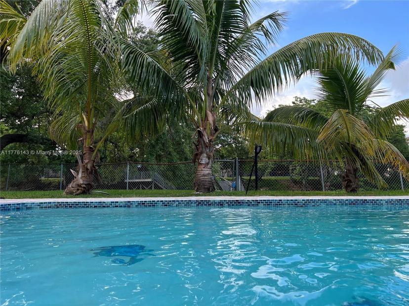 Picture of 7541 SW 174Th St, Palmetto Bay FL 33157