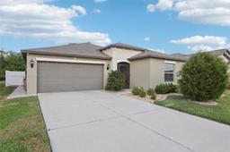 Picture of 13405 Willow Bluestar Loop, Riverview, FL 33579