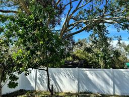 Picture of 608 S Lakeview Ave, Winter Garden, FL 34787