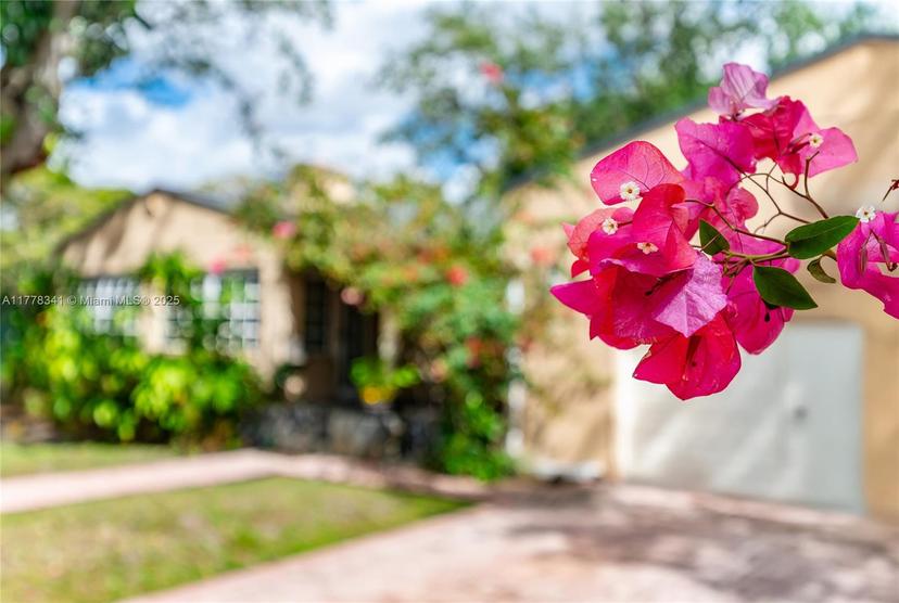 Picture of 265 Hunting Lodge Dr, Miami Springs FL 33166