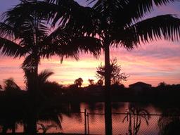 Picture of 21343 SW 88Th Ct, Cutler Bay, FL 33189