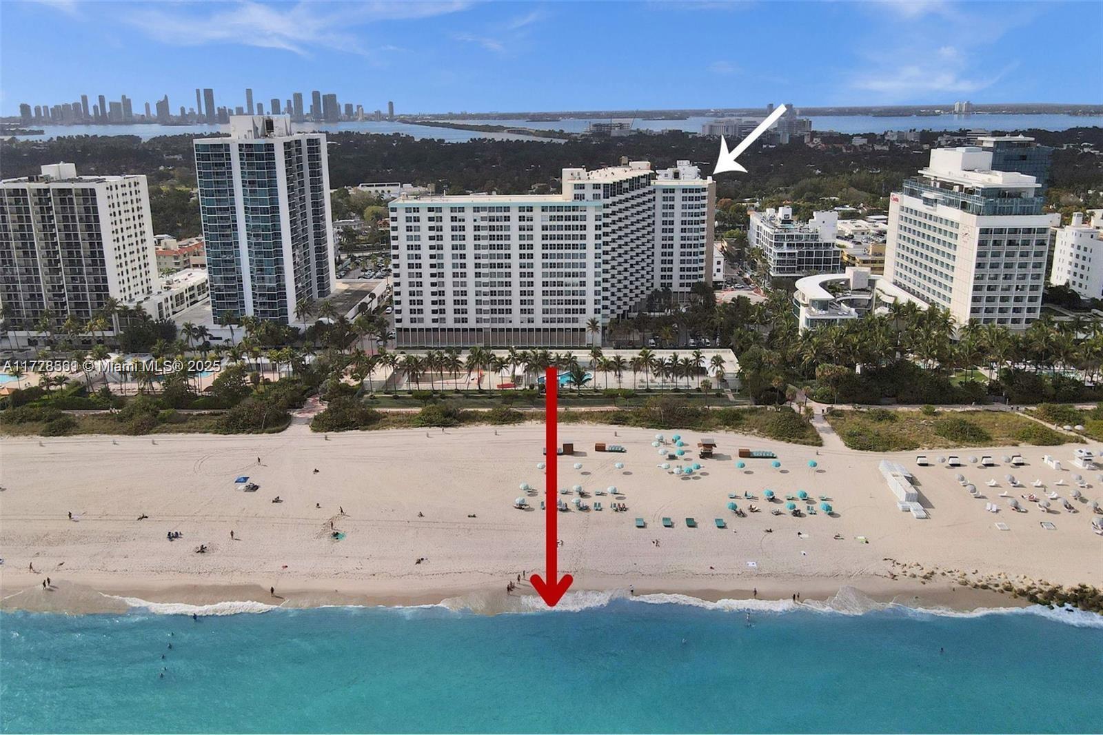 Picture of 2899 Collins Ave # 521, Miami Beach, FL 33140