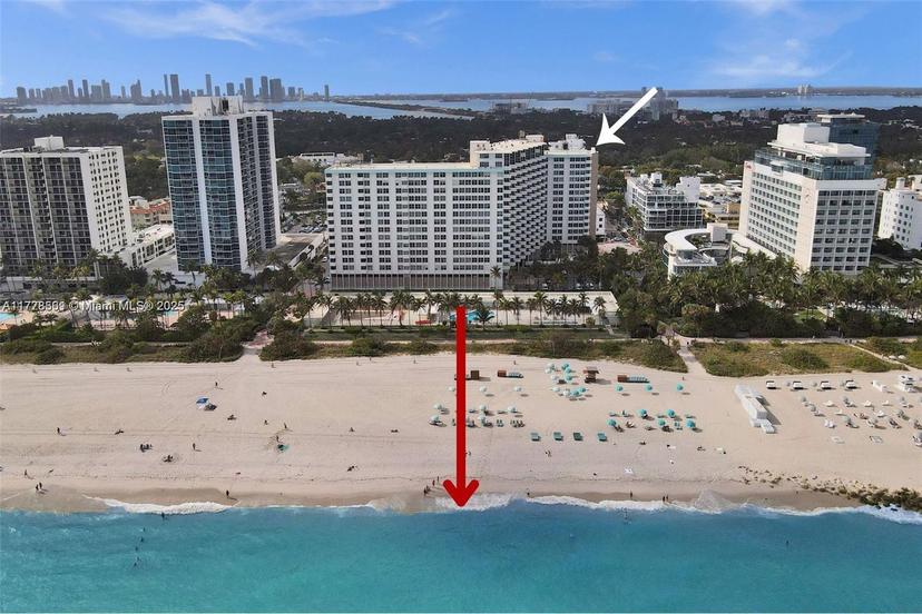 Picture of 2899 Collins Ave # 521, Miami Beach FL 33140