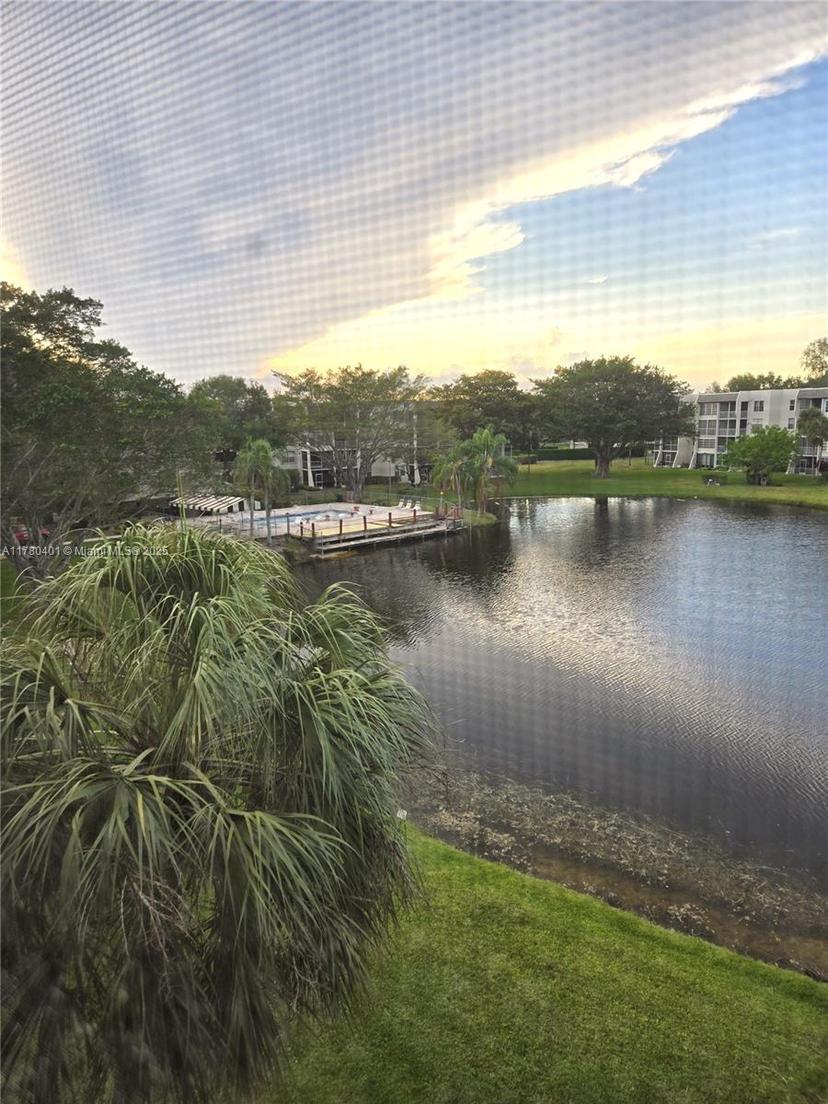 Picture of 9311 Orange Grove Dr # 406, Davie FL 33324