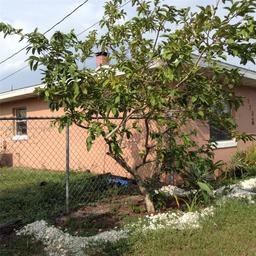 Picture of 120 Lake Ridge Drive, Other City - In The State Of Florida, FL 33852