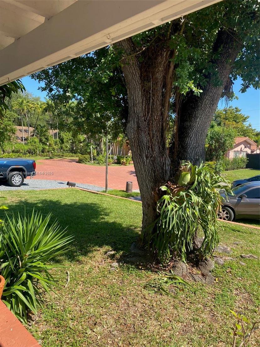 Picture of 6331 SW 17Th St, West Miami FL 33155
