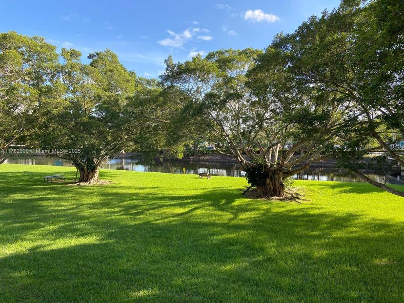 Picture of 8305 SW 72Nd Ave # 208A, Miami FL 33143
