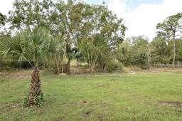 Picture of 103 Scott Ave, Lehigh Acres, FL 33936