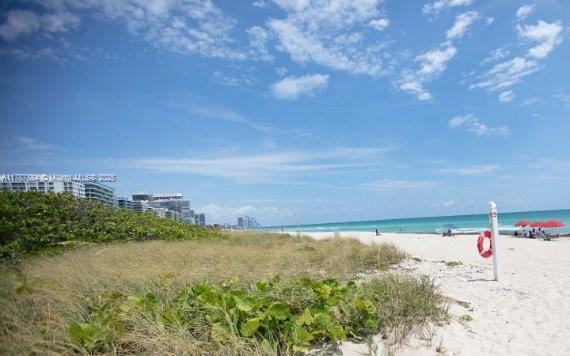 Picture of 8250 Byron Ave # 404, Miami Beach FL 33141