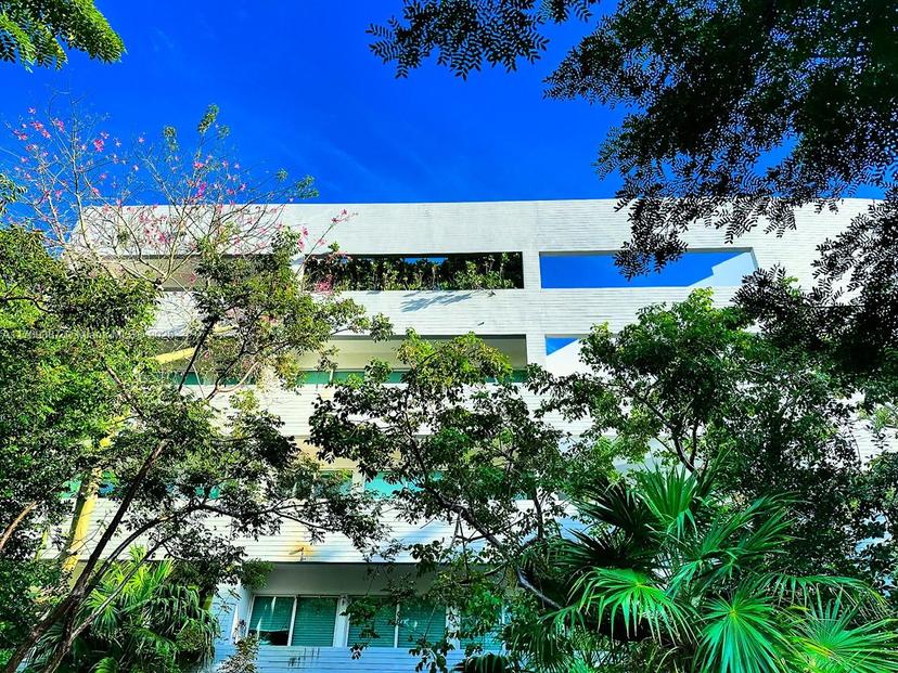 Picture of 2694 Inagua Ave, Miami FL 33133