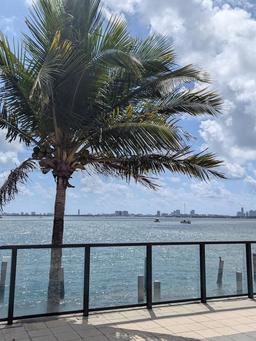 Picture of 600 NE 36Th St # 1804, Miami, FL 33137