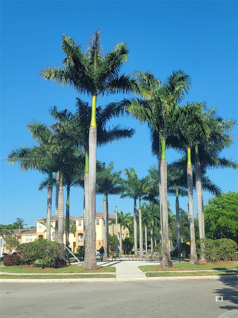 Picture of 10022 NW 7Th St # 210, Miami FL 33172