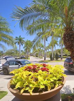 Picture of 22526 SW 89Th Pl, Cutler Bay, FL 33190