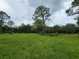 Picture of 1750 Perch Court, Geneva, FL 32732