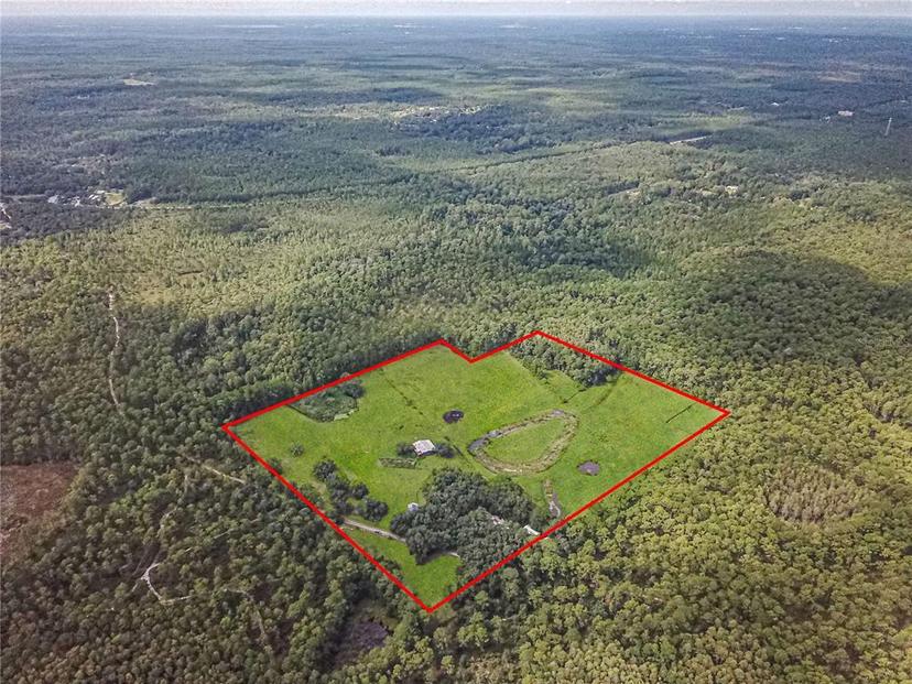 Picture of 3350 NE 125Th Terrace Road, Silver Springs FL 34488