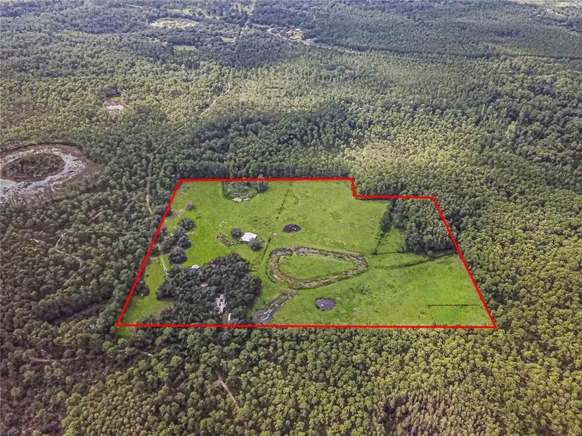 Picture of 3350 NE 125Th Terrace Road, Silver Springs FL 34488
