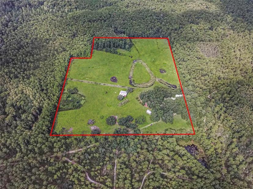 Picture of 3350 NE 125Th Terrace Road, Silver Springs FL 34488